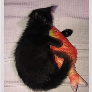 Meet your Posher, Vy